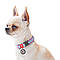 Нашийник для собак нейлоновий WAUDOG Nylon з QR-паспортом, світний/світловідбивний, металева, фото 3
