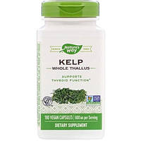 Ламинария Nature's Way Kelp 600 mg 180 Caps NWY-14508 EV, код: 7676920