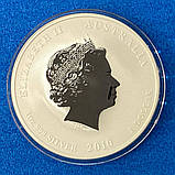 Срібна Монета Австралії 1 долар 2010 р. Рік Тигра, фото 3