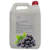 Концентрированный сок Eva Черной смородины 5 л 6,5 кг XN, код: 7701876