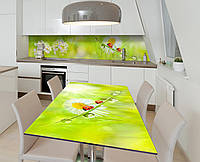 Наклейка 3Д виниловая на стол Zatarga «Утренняя роса» 600х1200 мм для домов, квартир, столов, FS, код: 6441426