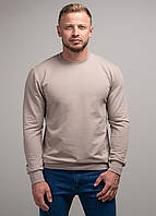 Свитшот мужской 341340 р.2XL Fashion Бежевый GT, код: 8237356