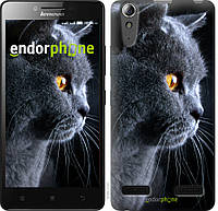 Пластиковый чехол Endorphone на Lenovo A6000 Красивый кот (3038m-103-26985) US, код: 1390823