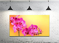 Картина на холсте ProfART S50100-c23 100 x 50 см Цветы (hub_Onpn34299) KM, код: 1224948