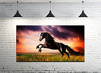 Картина на холсте ProfART S50100-z439 100 x 50 см Лошадь (hub_IqQg31057) KM, код: 1225133