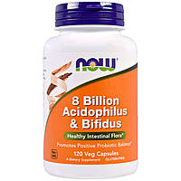 Пробиотики Acidophilus Bifidus Now Foods 8 млрд КОЕ 120 вегетарианских капсул TH, код: 7701117