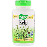 Ламинария Nature's Way Kelp 600 мг 180 капсул (NWY14508) US, код: 1826856