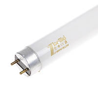 Лампа люминесцентная линейная Brille Стекло 36W Белый 126417 TT, код: 7263965