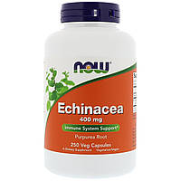 Эхинацея 400мг, Now Foods, Echinacea Purpurea, 250 капсул NL, код: 5552264