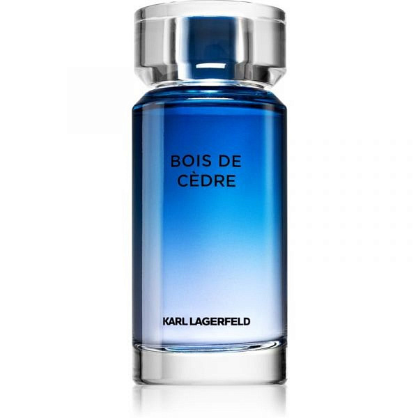 Туалетна вода Karl Lagerfeld Bois De Cedre для чоловіків — edt 100 ml tester