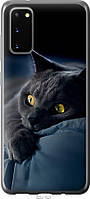 Чехол 2d пластиковый Endorphone Samsung Galaxy S20 Дымчатый кот (825t-1824-26985) BB, код: 7949258