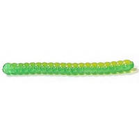 Силикон Big Bite Baits Trout Worm 2 10 шт Green Yellow (1013-1838.01.40) TP, код: 7694063