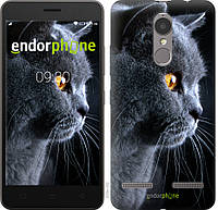 Пластиковый чехол Endorphone на Lenovo K6 Красивый кот (3038m-452-26985) SP, код: 1390781