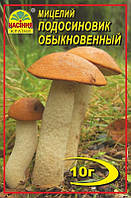 Мицелий грибов Насіння країни Подосиновик 10 г XN, код: 7718797