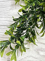Штучний, ампельний рускус (зелений 80 см), фото 10