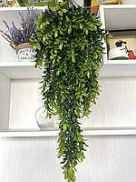 Штучний, ампельний рускус (зелений 80 см), фото 3