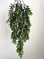 Штучний, ампельний рускус (зелений 80 см), фото 5