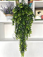 Штучний, ампельний рускус (зелений 80 см), фото 4