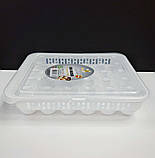Лоток контейнер для зберігання яєць Akay Plastik 30 шт AK681 SC, код: 8190826, фото 3