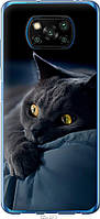 Чехол силиконовый Endorphone Xiaomi Poco X3 Дымчатый кот (825u-2073-26985) BB, код: 7956484