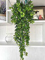Штучний, ампельний евкаліпт (80 см, зелений), фото 2