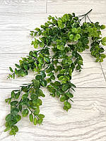 Штучний, ампельний евкаліпт (80 см, зелений), фото 9