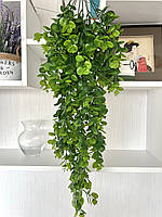 Штучний, ампельний евкаліпт (80 см, зелений), фото 4