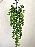 Штучний, ампельний евкаліпт (80 см, зелений), фото 6