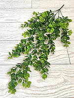 Штучний, ампельний евкаліпт (80 см, зелений), фото 7