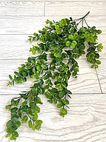 Штучний, ампельний евкаліпт (80 см, зелений), фото 8