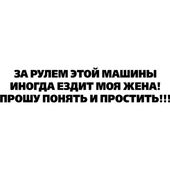 Виниловая наклейка на авто (надпись) (от 5х25 см)