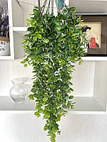 Штучний, ампельний евкаліпт (80 см, зелений із напиленням), фото 5