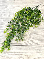 Штучний, ампельний евкаліпт (80 см, зелений із напиленням), фото 8