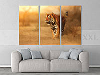 Модульна картина Poster-land Природа Тигр Art-183_XXL PR, код: 6502491