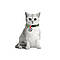 Нашийник для котів нейлоновий WAUDOG Nylon з QR-паспортом, малюнок "Авокадо", пластиковий фастекс, Ш 10 мм, Дл, фото 3