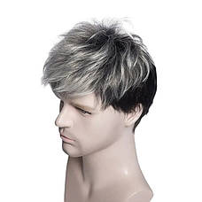 Перука чоловіча коротка чорна із сивиною DC Men Black/ 462, фото 3