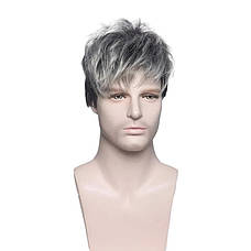 Перука чоловіча коротка чорна із сивиною DC Men Black/ 462, фото 2