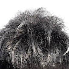 Перука чоловіча коротка чорна із сивиною DC Men Black/ 462, фото 5