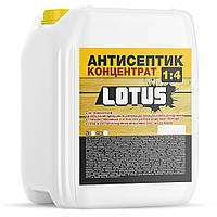 Антисептик для захисту деревини Skyline концентрат 1:4 Lotus 10 л IN, код: 7443709