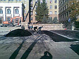 Укладання тротуарної плитки та встановлення бортового каменю, фото 6
