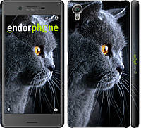 Пластиковый чехол Endorphone на Sony Xperia X F5122 Красивый кот (3038m-446-26985) MY, код: 1390802