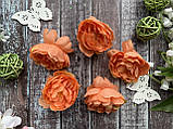 Півонія прованс (головка) діаметр 5-6 см оранджового кольору поштучно, фото 3