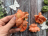 Півонія прованс (головка) діаметр 5-6 см оранджового кольору поштучно, фото 4