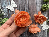 Півонія прованс (головка) діаметр 5-6 см оранджового кольору поштучно, фото 2
