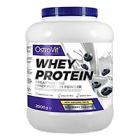 Протеин OstroVit Whey Protein, 2 кг Черника