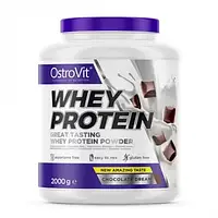 Протеин OstroVit Whey Protein, 2 кг Шоколад