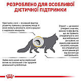 Сухий корм для дорослих котів Royal Canin Urinary s/o Moderate Calorie Cat 400 г, фото 3