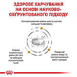 Сухий корм для дорослих котів Royal Canin Urinary s/o Moderate Calorie Cat 400 г, фото 5