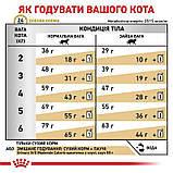 Сухий корм для дорослих котів Royal Canin Urinary s/o Moderate Calorie Cat 400 г, фото 6