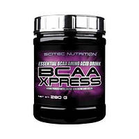 Аминокислота BCAA для спорта Scitec Nutrition BCAA Xpress 280 g 40 servings Melon UD, код: 7519568